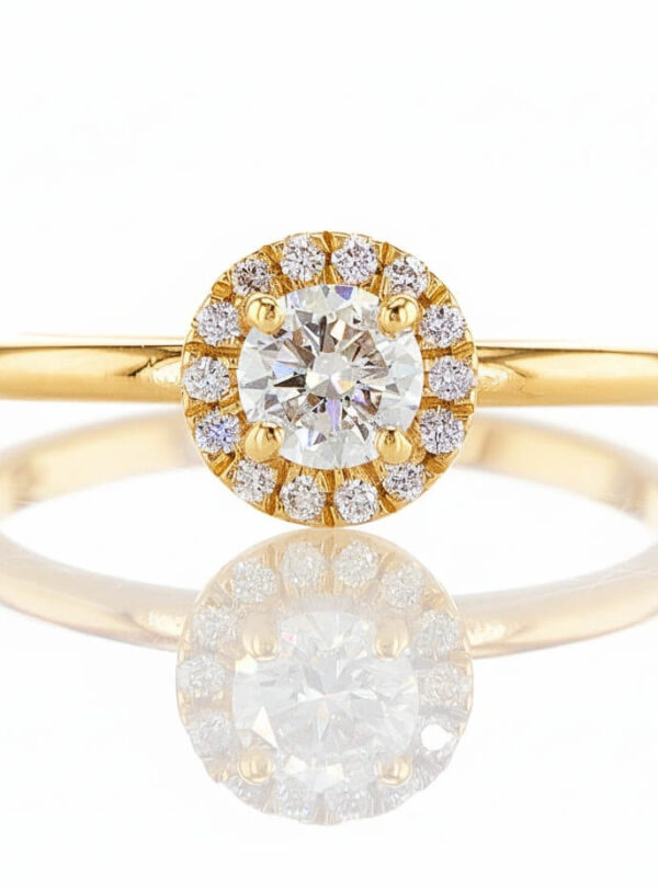 Flor yellow gold